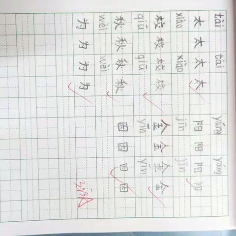 我们学写生字啦