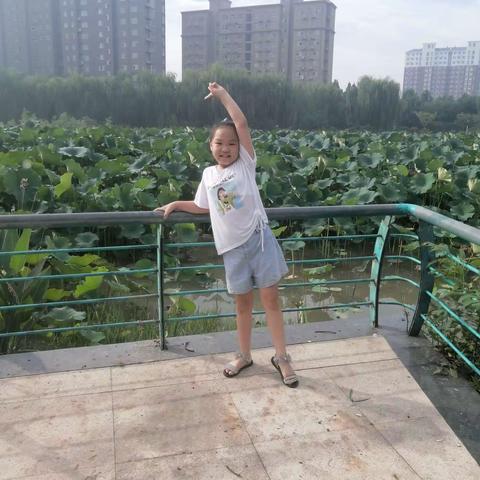 濮阳县第四实验小学二年级五班李雨飞的假期生活