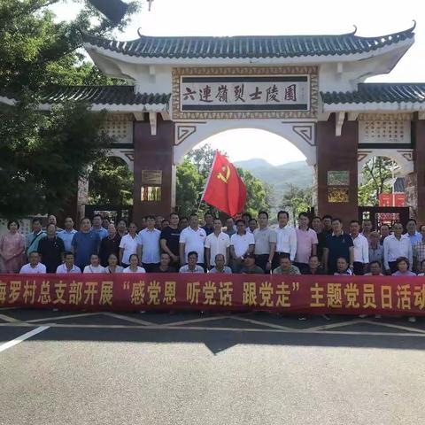 海罗村党总支部庆祝七一建党100周年学习党史学习教育