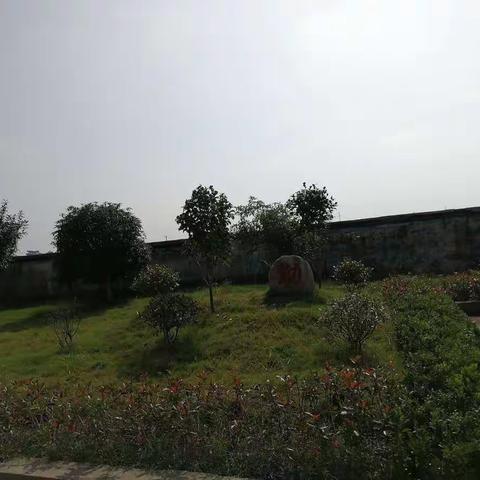 墩小每周记事（8）