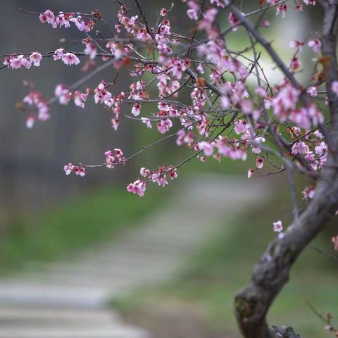 雨后花博园