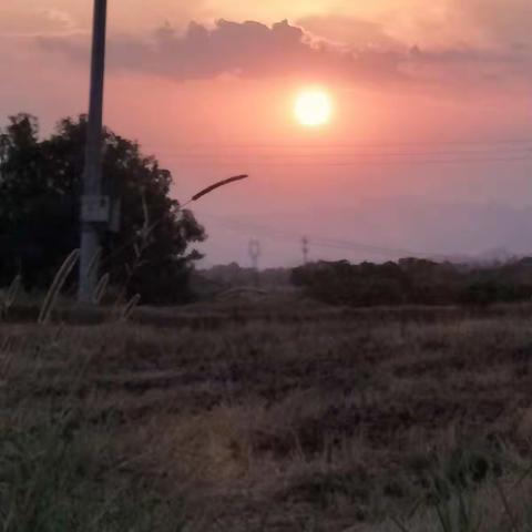 美丽的乡村