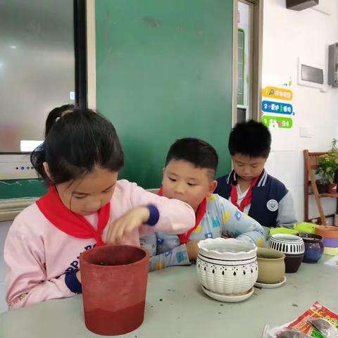 播撒希望，收获成长——记株洲市二中枫溪学校小学部（西校区）2105班劳动课播种剪影