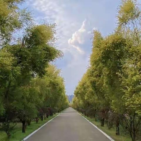 种下希望，收获未来！---凿石小学1803班