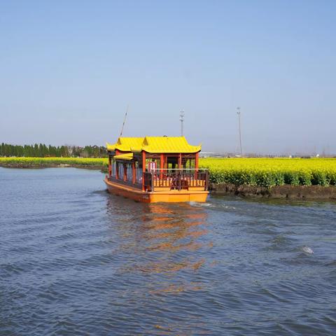 兴化千垛油菜花景区