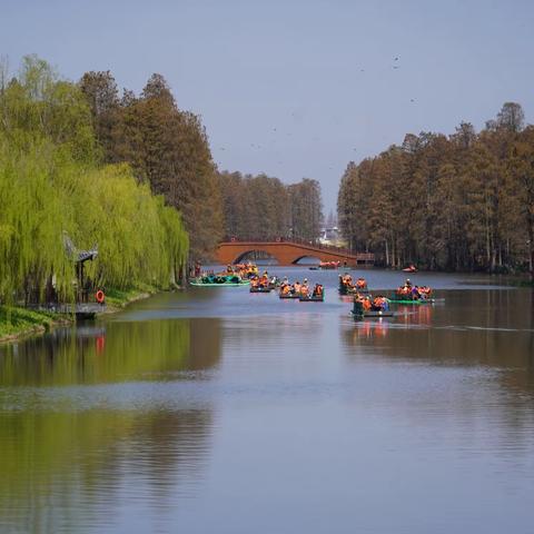 李中水上森林公园