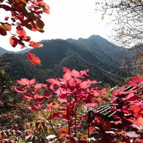 千年古刹玉泉寺