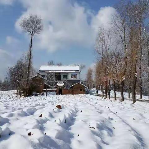 抚龙湖的雪
