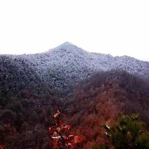 老来不记儿时路    数番迷途循山行