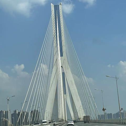 王子安琦的假期生活