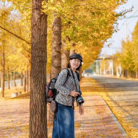 我和银杏树之约