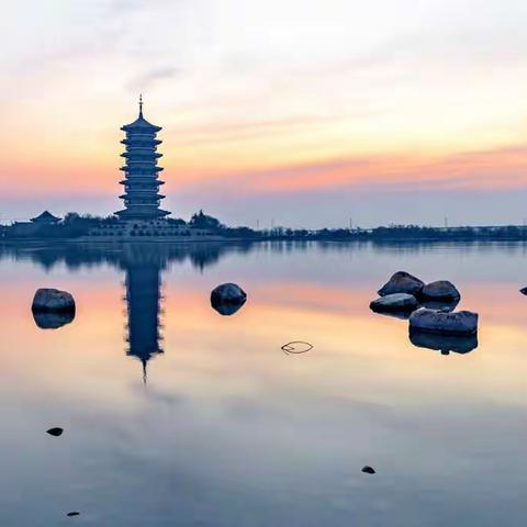 晨曦中的少海国家湿地公园