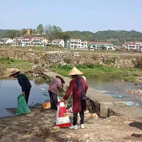 英山县开展4月份河库志愿保洁活动