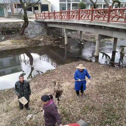 河库保洁助推英山绿色崛起