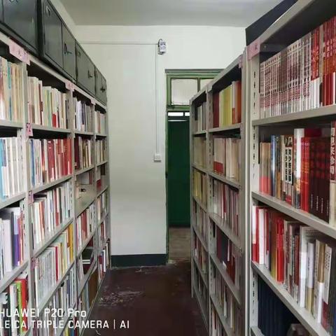 图书馆整理初步完成，欢迎同志们前来借阅！