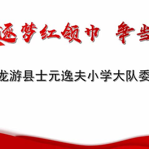 逐梦红领巾 争当领头雁——龙游县士元逸夫小学大队委竞选活动