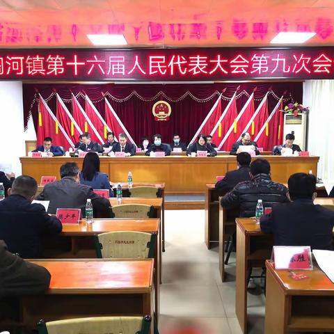 陶河镇召开第十六届人民代表大会第九次会议