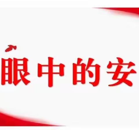 自主自律,成就最好的自己——我眼中的安外：五年级组