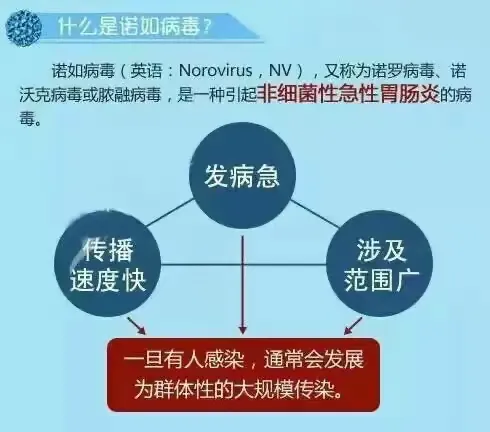 春芽鸿博锦绣幼儿园——“诺如病毒”预防措施
