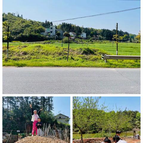 记录春日的小美好