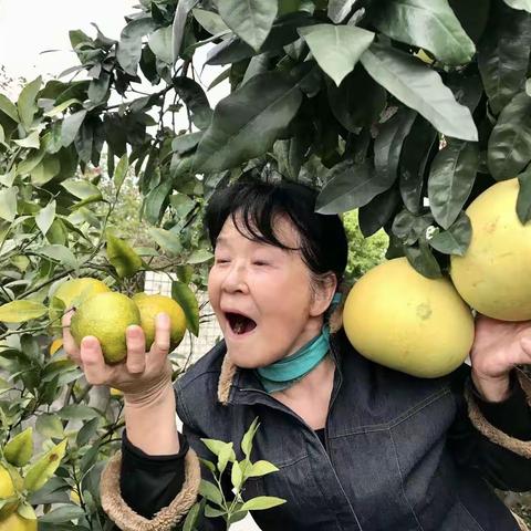 欢乐在资中一记西农园六三.二班资中同学会