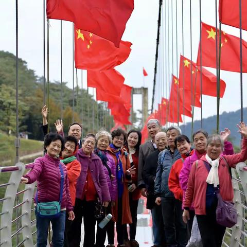 园艺之花在大邑绽开