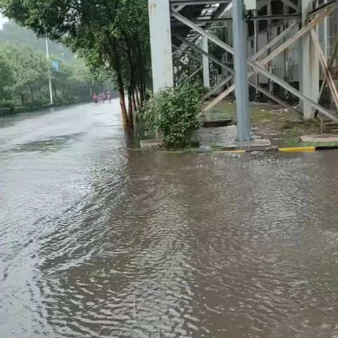 风雨无阻抗洪抢险不止步