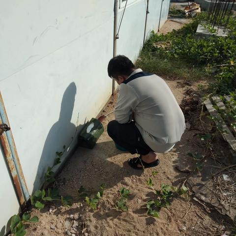 昌江县病媒生物防治应急消杀工作汇报