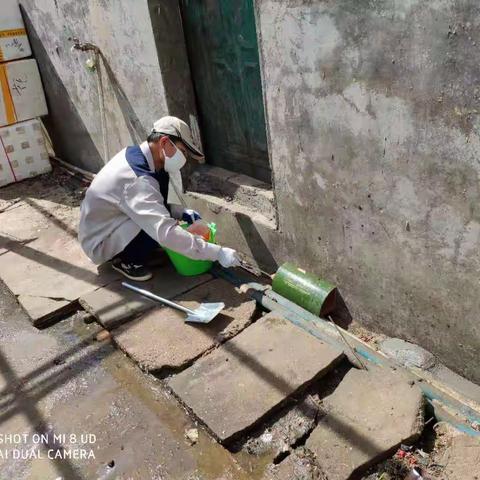 昌江县病媒生物防治应急消杀工作汇报