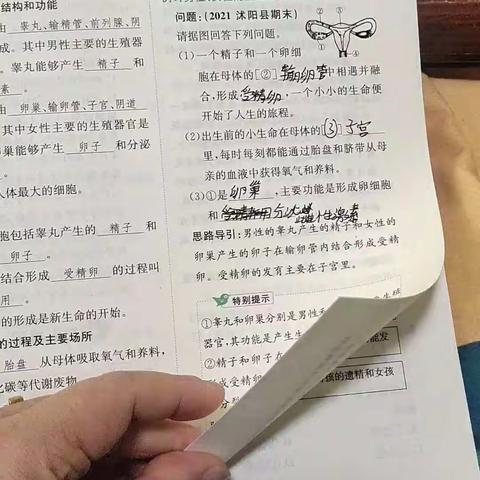 开拓进取组作业合集