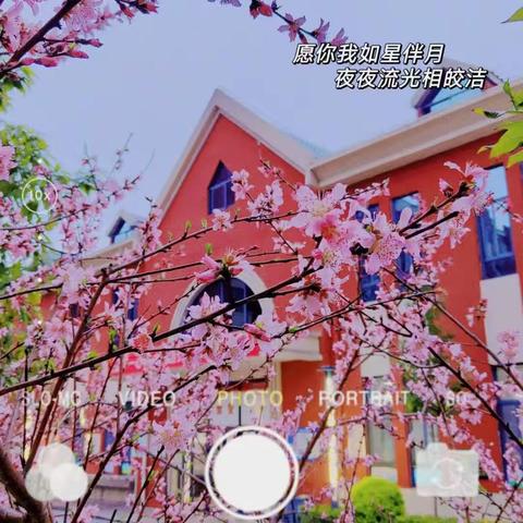 一树繁花，一树青春