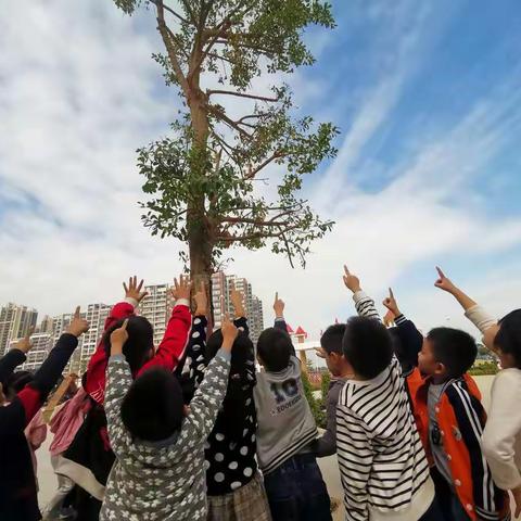 腊八到，小寒随，新岁将至节节催｜最热闹，大操场，宁馨儿们分外忙