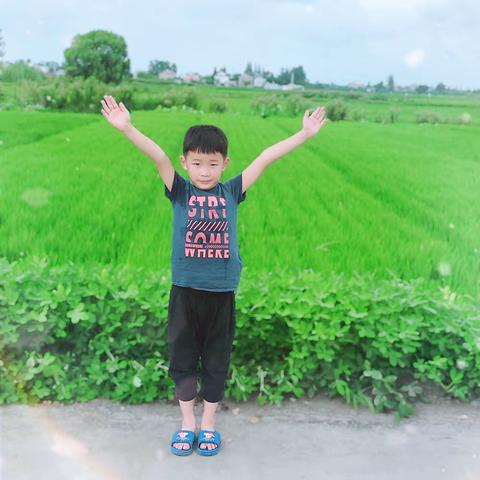 愉快的暑假生活—杨子辰