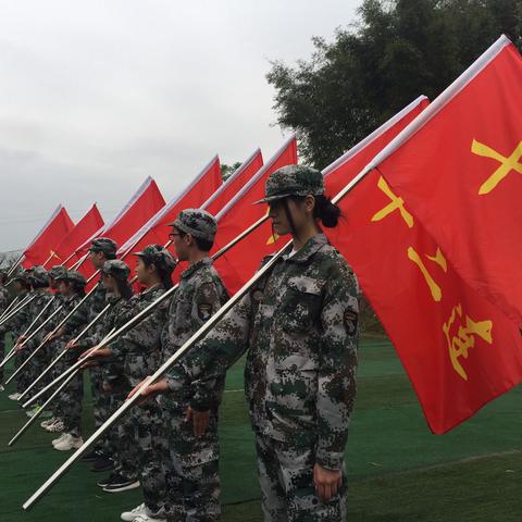 何校语重心长的话语