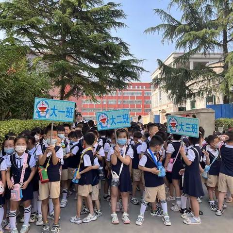 小学初体验，衔接促成长