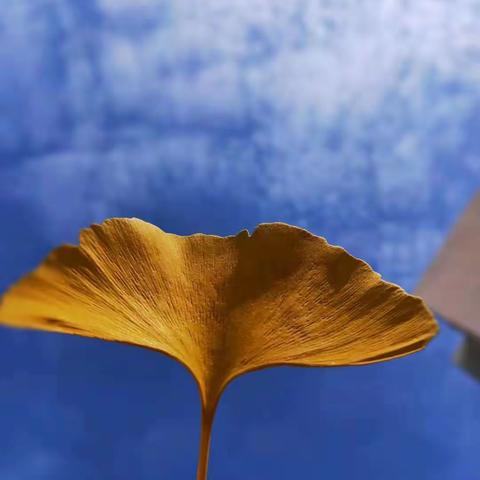 一个人靠不靠谱，就看这8个细节！