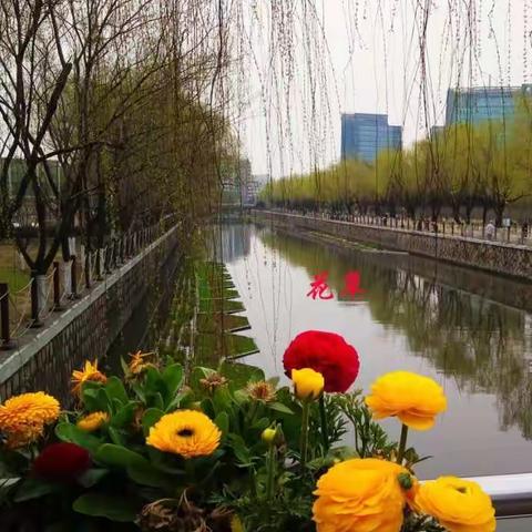 药王孙思邈的“四少”养生法