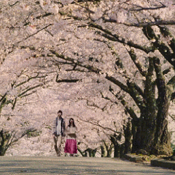欣赏一个人，始于颜值，敬于才华，合于性格，久于善良，忠于人品