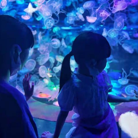 朱洲洲的快乐暑假生活