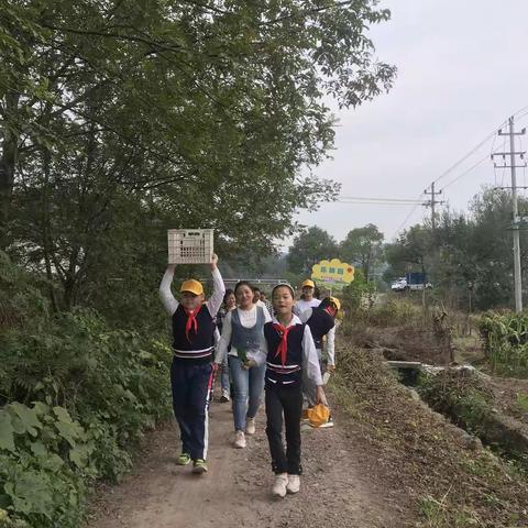 庆丰收，知农耕，爱劳动