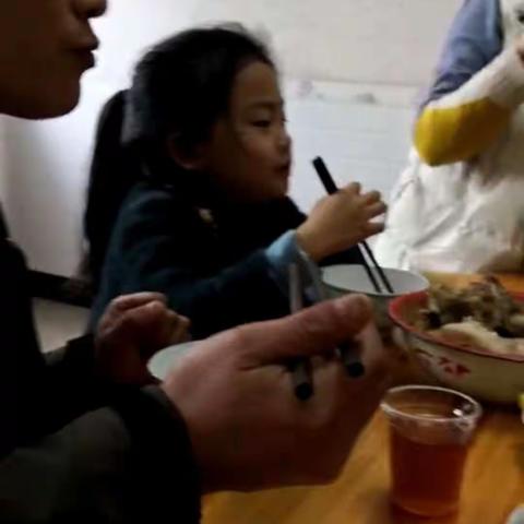 鸽子的快乐寒假