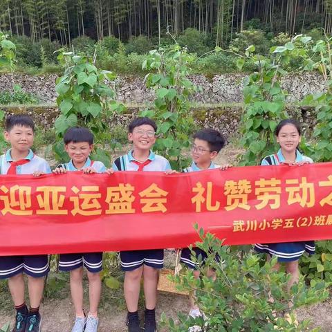 喜迎亚运盛会  礼赞劳动之美    ——武川小学五（2）班晨曦中队夏季农忙活动