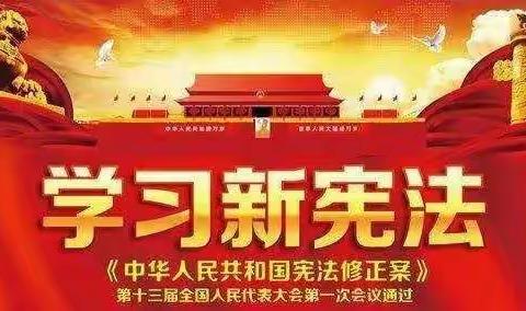 藉口镇四十铺小学学习新《宪法》主题教育活动