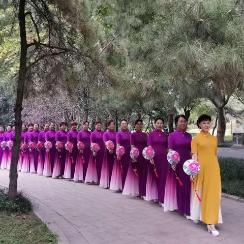 裕西公园模特秀