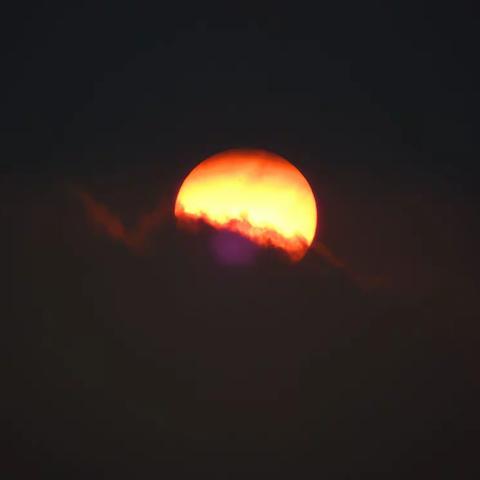 心中的太阳