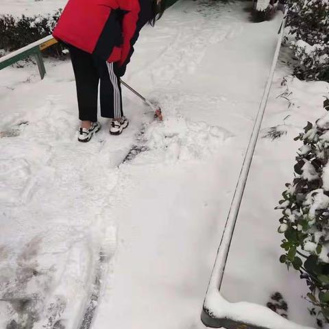 我的寒假有意义——七六班寒假实践活动(一)