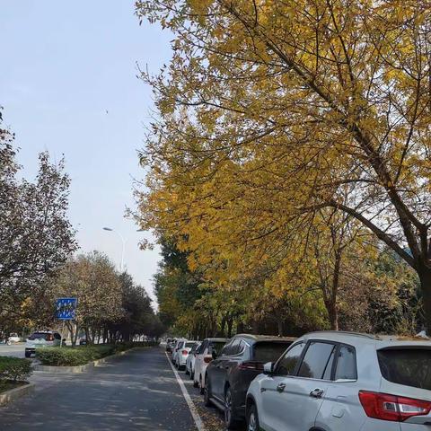 辞柯霜叶，飞来就我题红