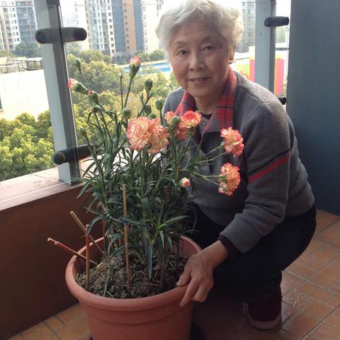 我的阳台种植