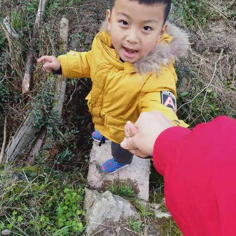 春日的田野野菜多