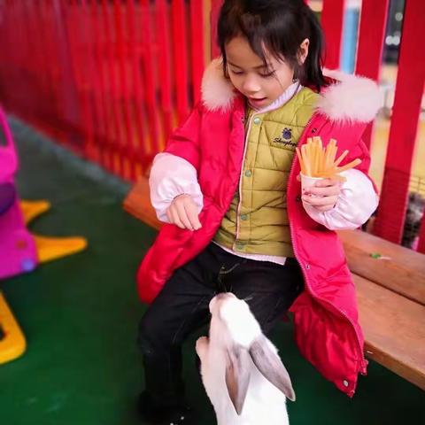 乐和乐都（愉快的一天）